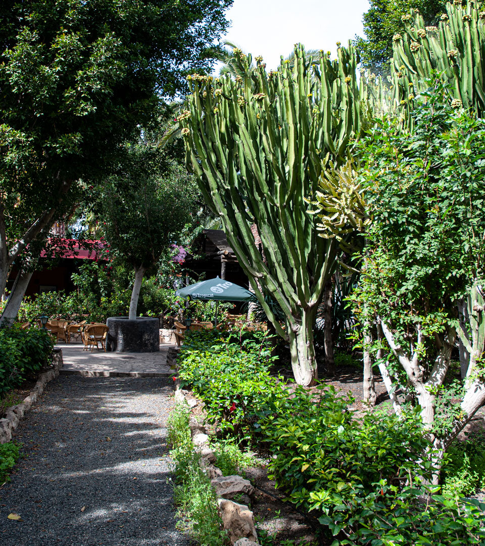 Bar mit schöner Gartenanlage in Costa Calma auf Fuerteventura