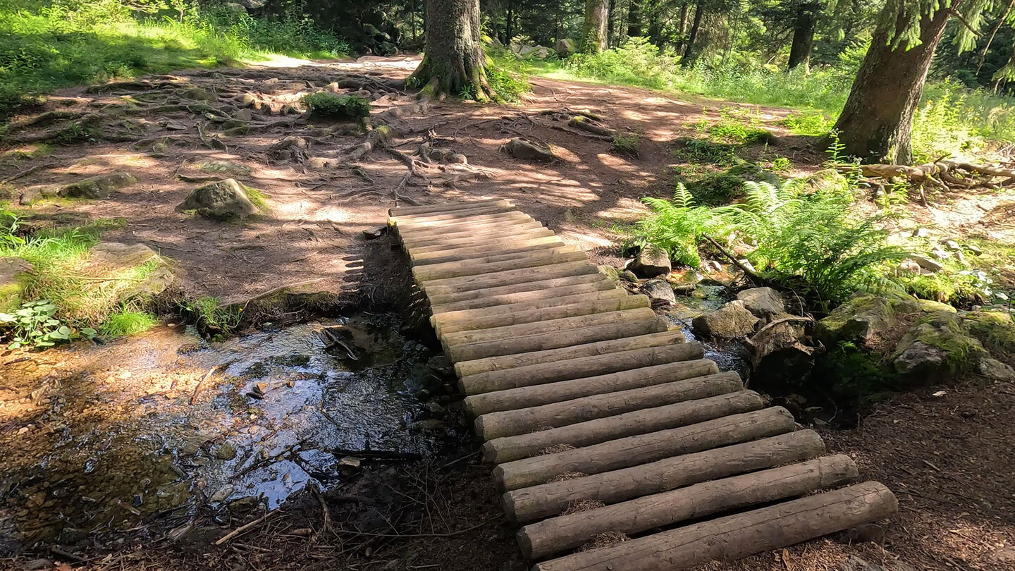 Holzbrücke auf dem Wanderpfad des GR 531 zum Lac Vert Wanderweg GR 531 Lac Vert mit Holzbrücke