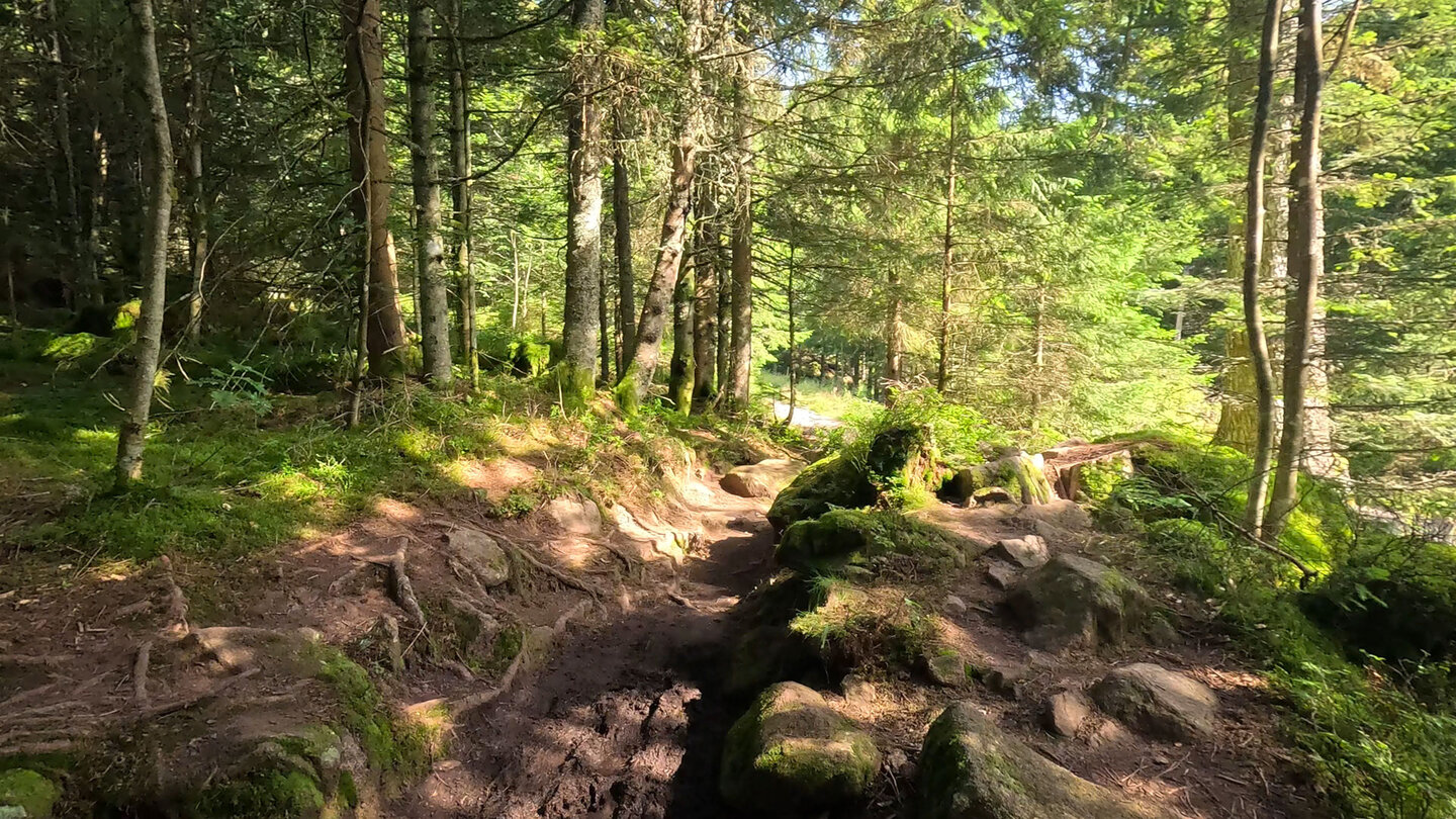 Wanderweg vom Seestäedtle zum Lac Vert Wanderweg vom Seestäedtle zum Lac Vert
