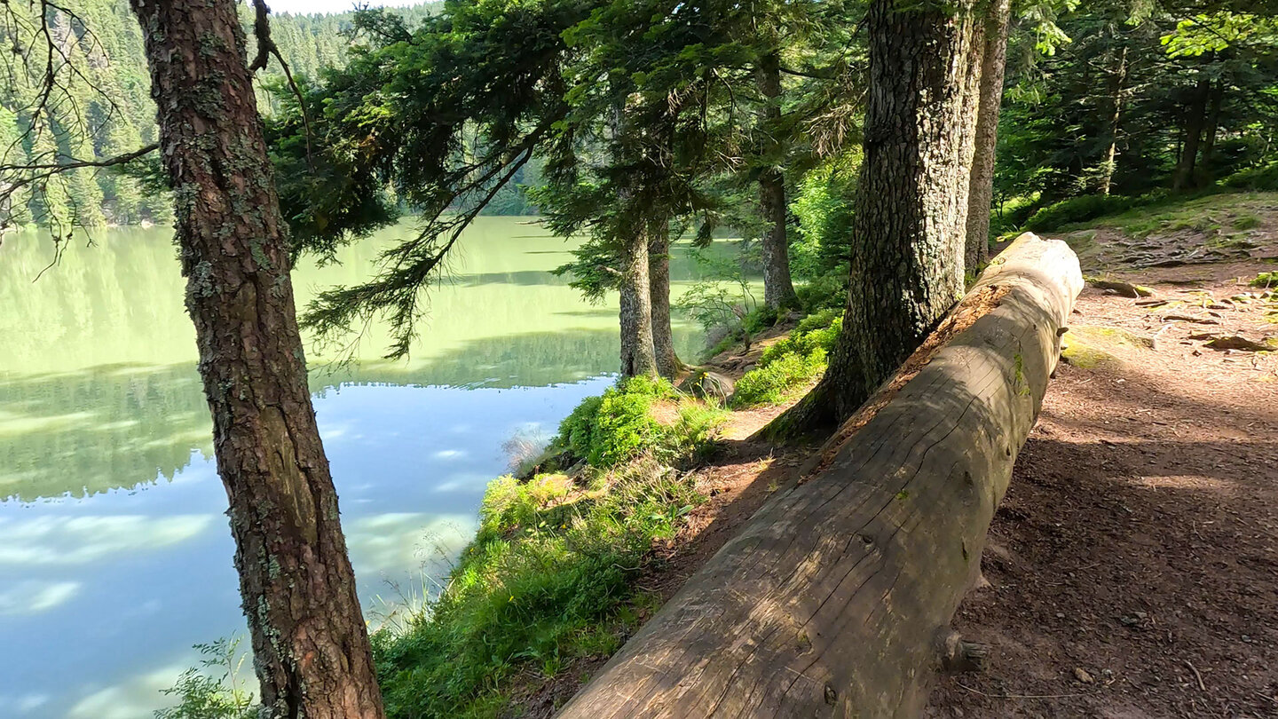 Wanderweg am Lac Vert Wanderweg am Lac Vert