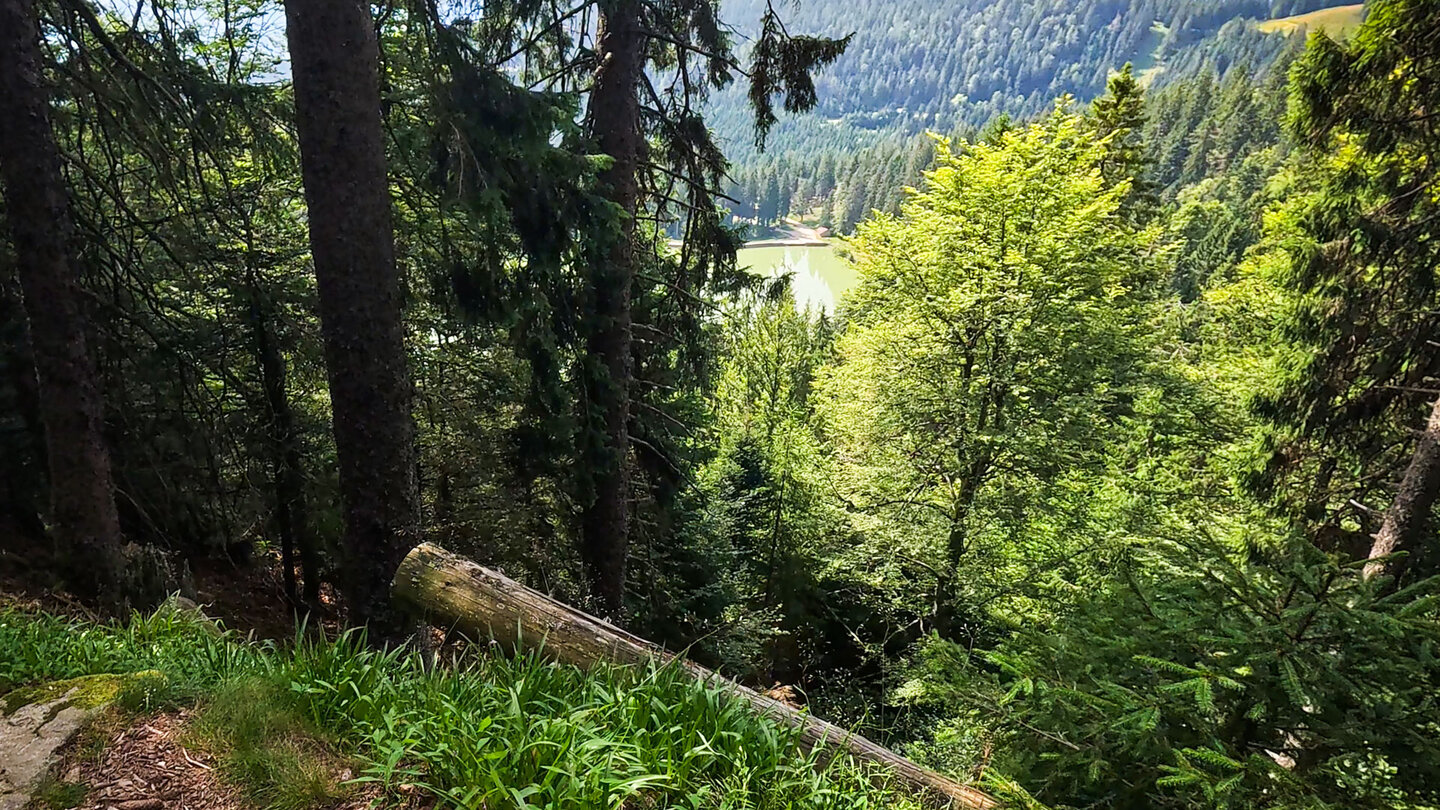 Ausblick Lac Vert Ausblick Lac Vert