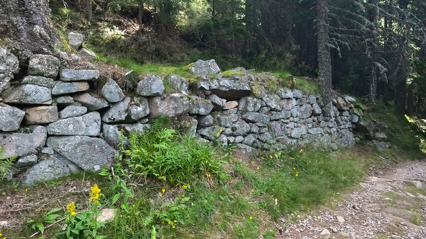 Aufstiegsweg Munster - GR 5 nach Dreieck Le Valtin Aufstiegsweg Munster - GR 5 nach Dreieck Le Valtin