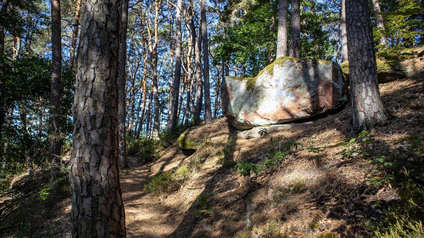 Wanderpfad zum Aussichtspunkt Wasgaublick im Dahner Felsenland.