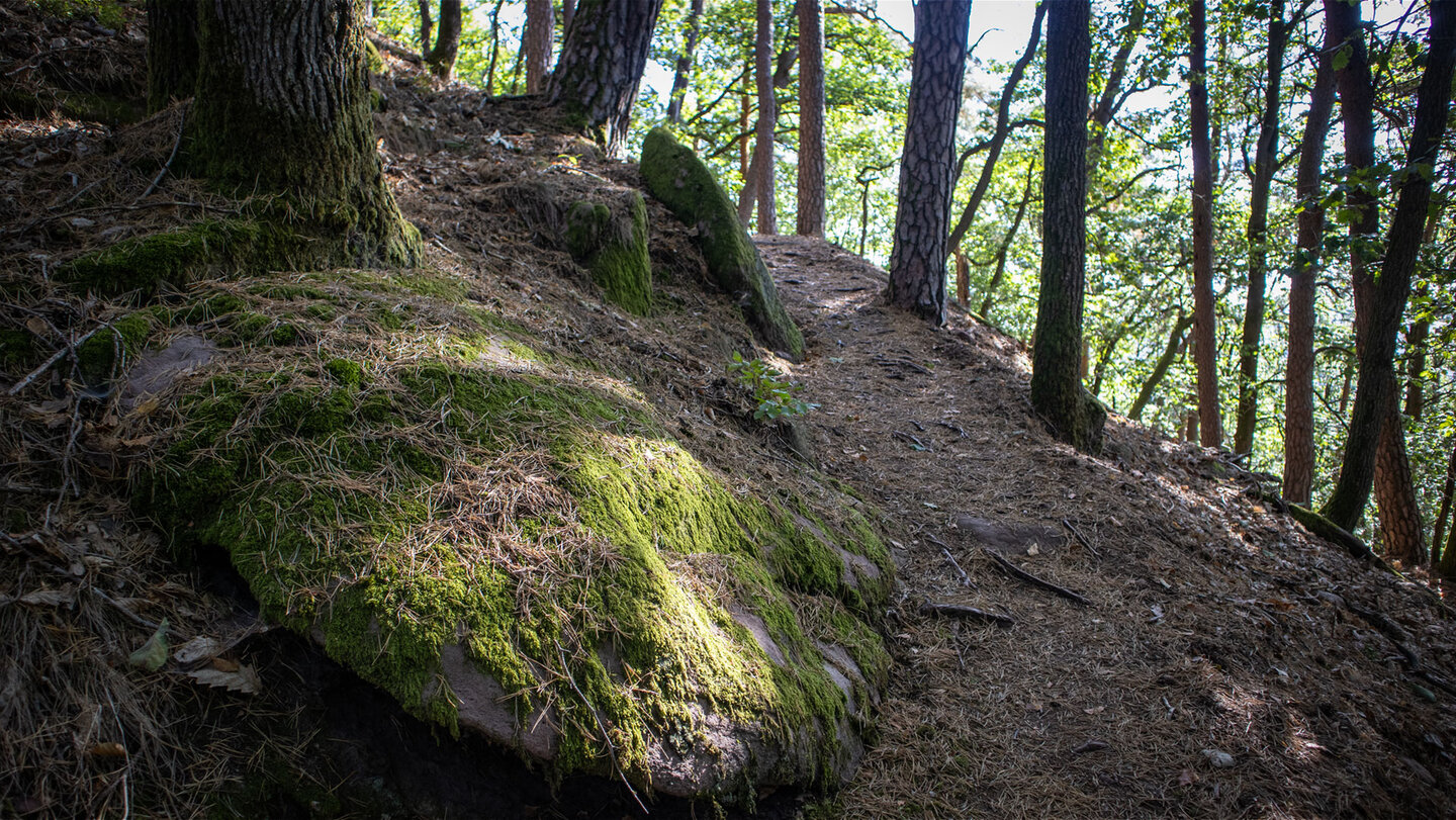 Malerisch schlängelt sich der Pfad hinauf zum Kahlenberg.