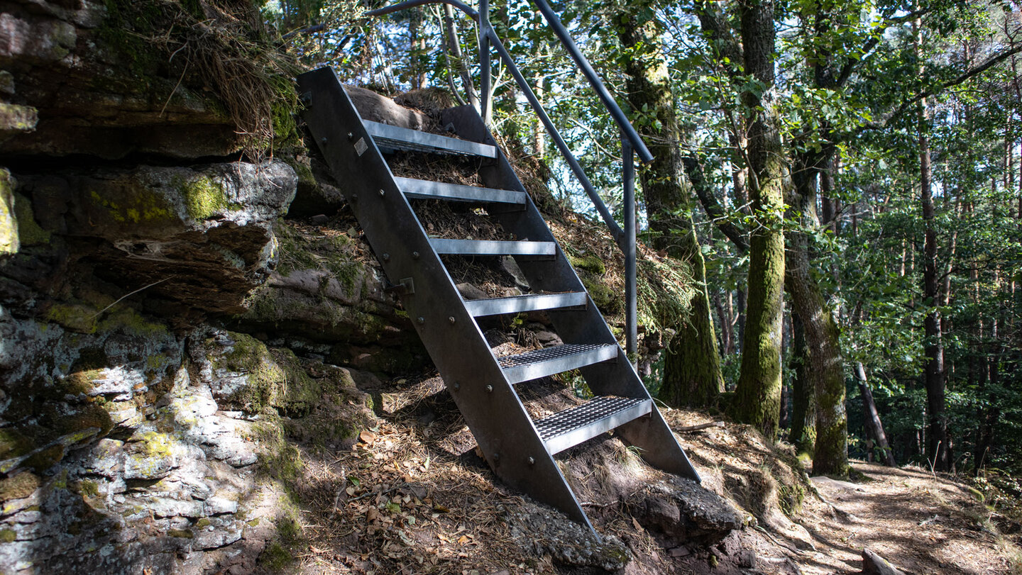 Metalltreppe im steilen Abstieg vom Kahlenberg.