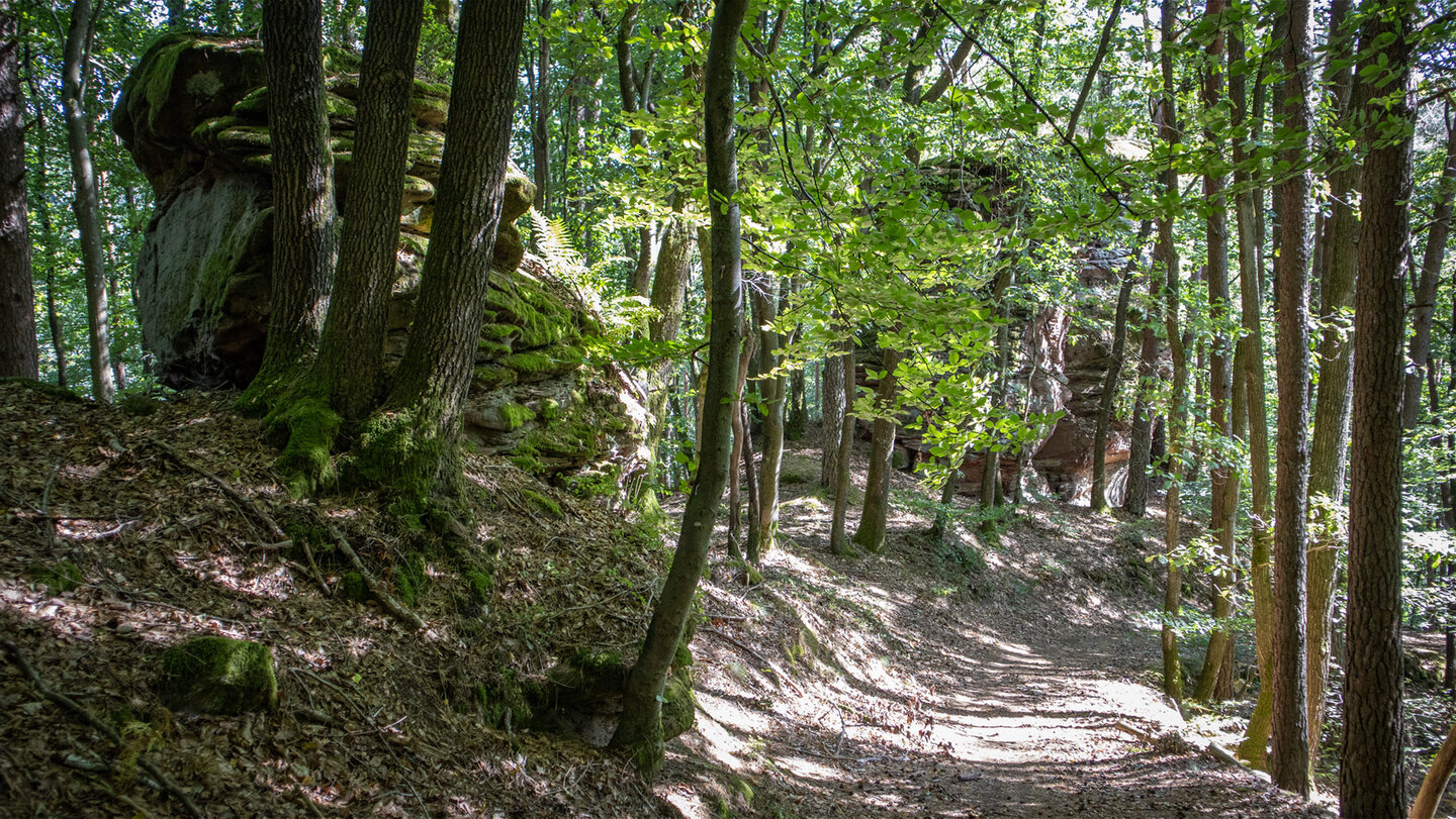 Wanderweg entlang der Erfweiler Sattelfelsen im Dahner Felsenland.