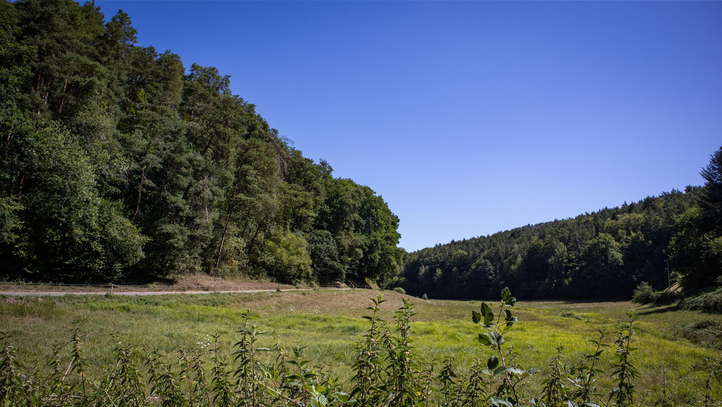 Von Schindhard öffnet sich der Blick ins Bärenbrunner Tal.