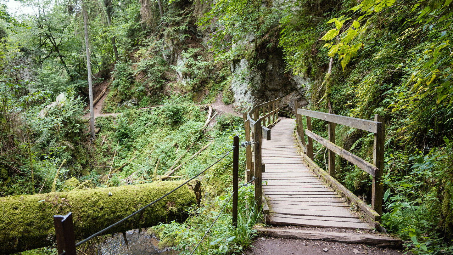 die Route verläuft über Holzstege durch die Lotenbachklamm