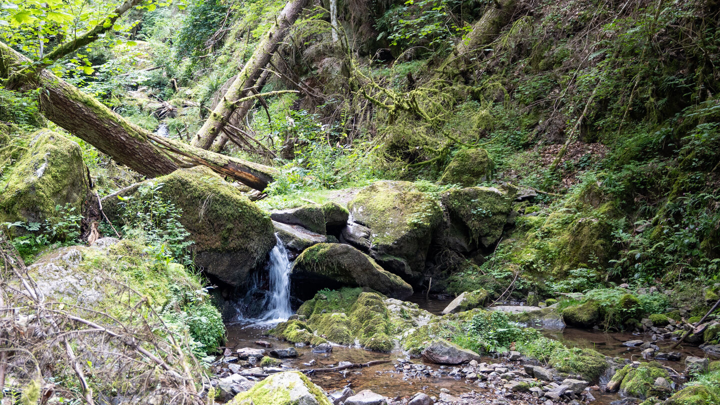 der wildromantische Bachlauf des Lotenbach