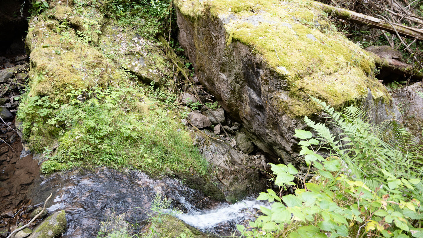Granitfelsen am Bachlauf des Lotenbach