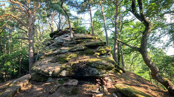 Impressionen der Dimbergfelsen im Pfälzerwald