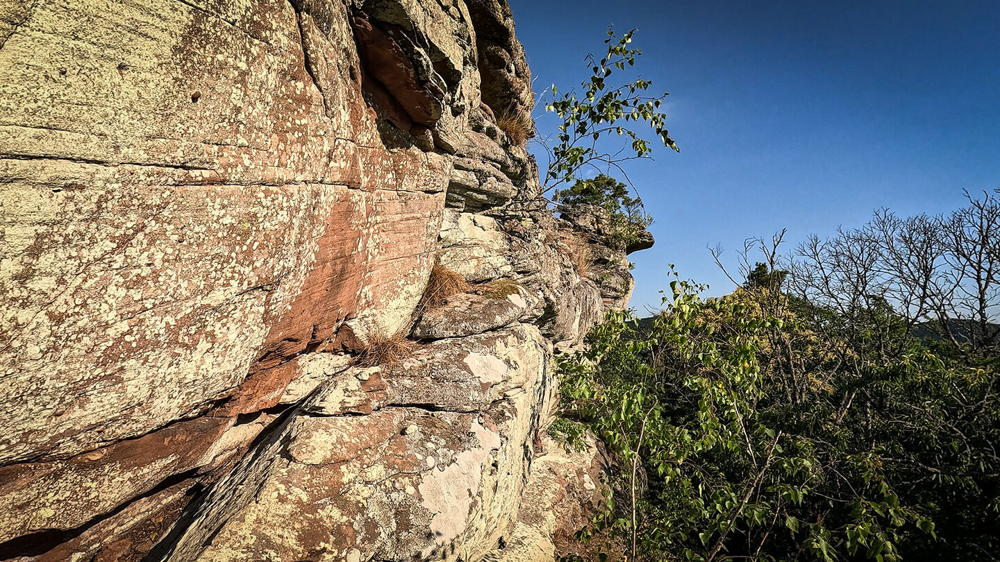 hoch aufragende Dimbergfelsen am Buntsandstein Höhenweg Dimbergfelsen am Buntsandstein Höhenweg