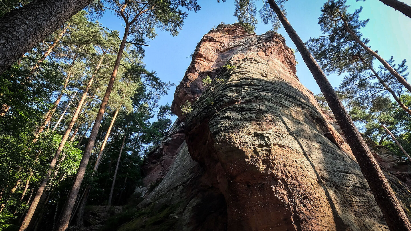 der imposante Dimbergpfeiler im Pfälzerwald Dimbergpfeiler im Pfälzerwald