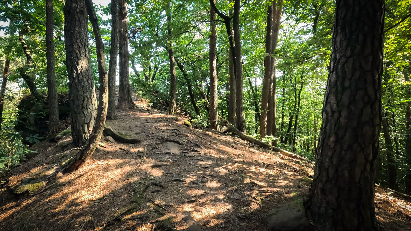Wanderweg entlang der Isselmannsteine bei Dimbach im Pfälzerwald Wanderweg entlang der Isselmannsteine bei Dimbach