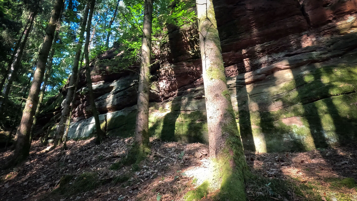 langes Sandsteinriff der Isselmannsteine am Dimbacher Buntsandstein Höhenweg Sandsteinriff der Isselmannsteine am Dimbacher Buntsandstein Höhenweg