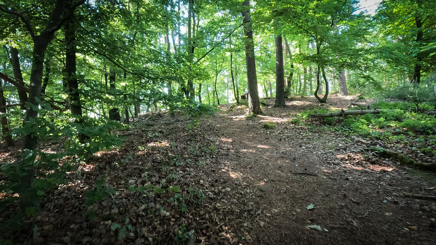 Aufstieg zum Rötzenberg auf dem Dimbacher Buntsandstein Höhenweg Aufstieg zum Rötzenberg auf dem Dimbacher Buntsandstein Höhenweg