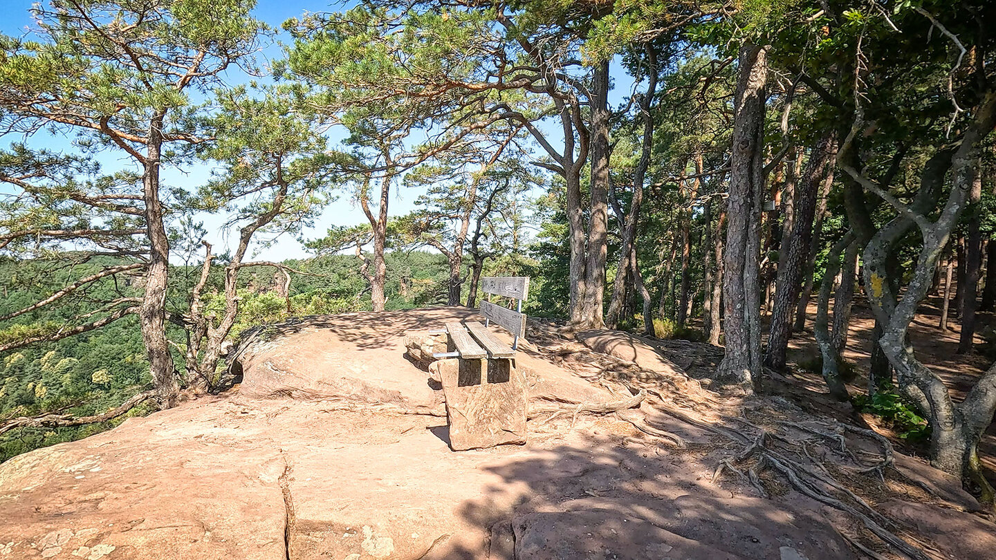 Rastplatz am Rötzenfelsen im Pfälzerwald Rastplatz am Rötzenfelsen im Pfälzerwald