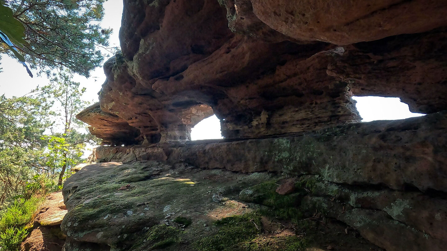 erodierter Buntsandstein am Rötzenfelsen im Pfälzerwald Buntsandstein am Rötzenfelsen im Pfälzerwald