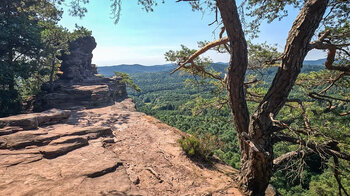 Panorama am Rötzenfelsen im Wasgau