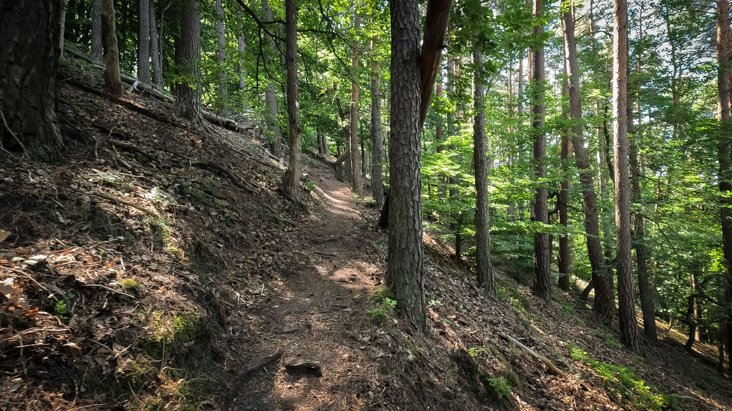 Wanderweg zum Kieungerfelsen im Wasgau Wanderweg zum Kieungerfelsen im Wasgau