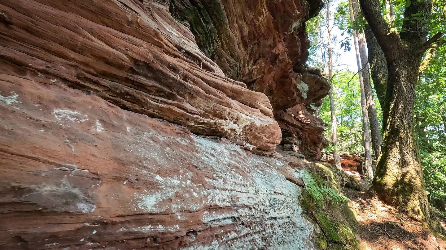 der Kieungerfelsen am Dimbacher Buntsandstein Höhenweg Kieungerfelsen am Dimbacher Buntsandstein Höhenweg