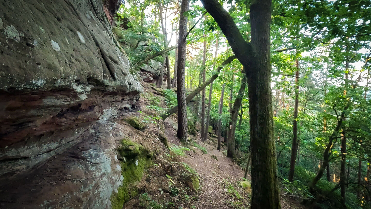 Sandsteinband am Dimbacher Buntsandstein Höhenweg Sandsteinband am Dimbacher Buntsandstein Höhenweg