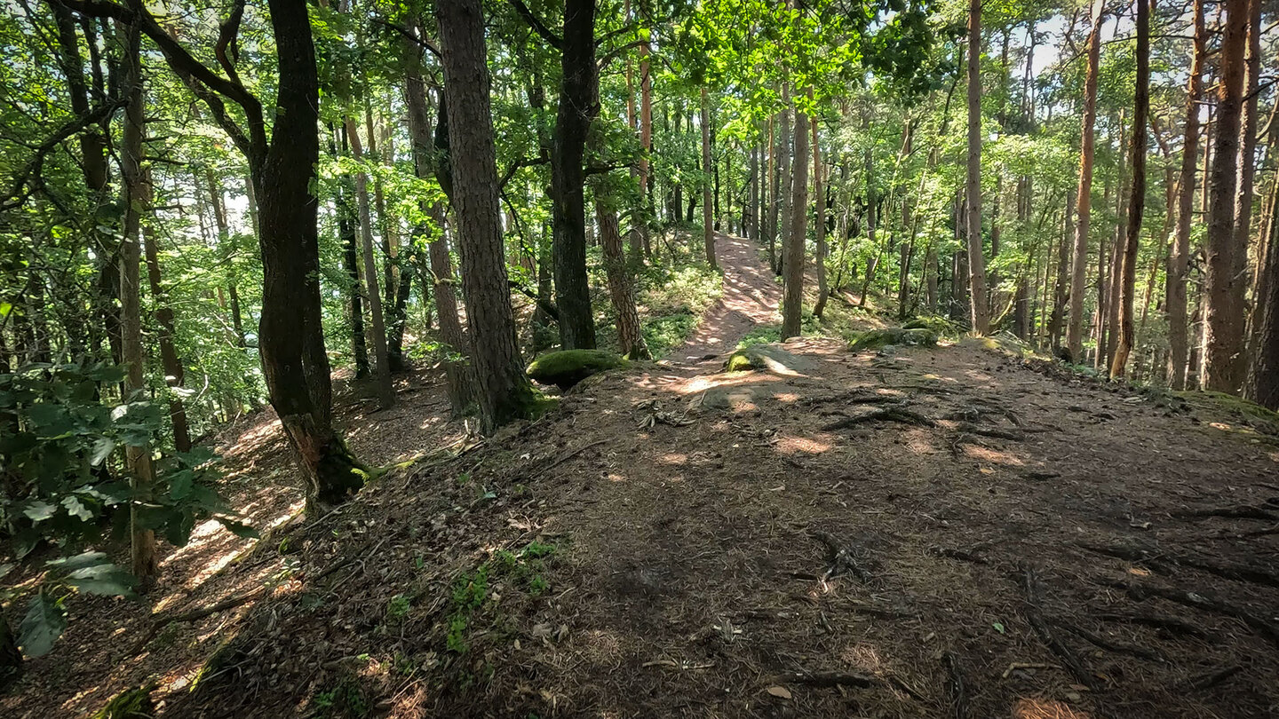 Wanderpfad beim Kieungerfelsen im Wasgau Wanderpfad beim Kieungerfelsen