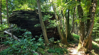 Felsformationen am Dimbacher Buntsandstein Höhenweg