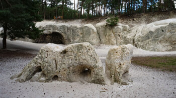 vor den Sandsteinhöhlen im Naturpark Harz liegt der Dedingstein altargleich