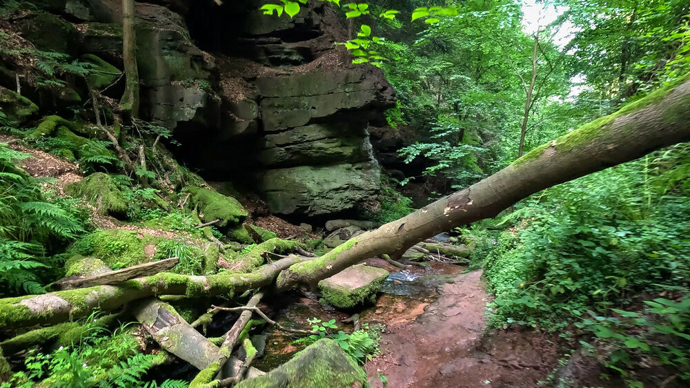 Felsen am Schlossbächlein in der Wolfsschlucht bei Zwingenberg Felsen am Schlossbächlein in der Wolfsschlucht bei Zwingenberg