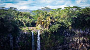 Chamarel-Wasserfälle - wilde Natur im Regenwald von Mauritius