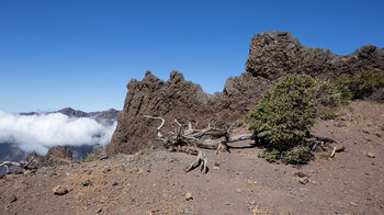 gezackte Basaltwand am Caldera Höhenwanderweg