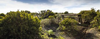 ein lauschiges Plätzchen am Mirador de Bosquecillo auf Lanzarote