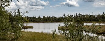 Wildsee bei Kaltenbronn
