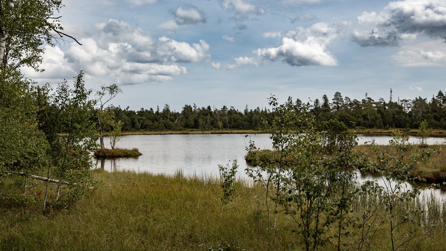 Wildsee bei Kaltenbronn