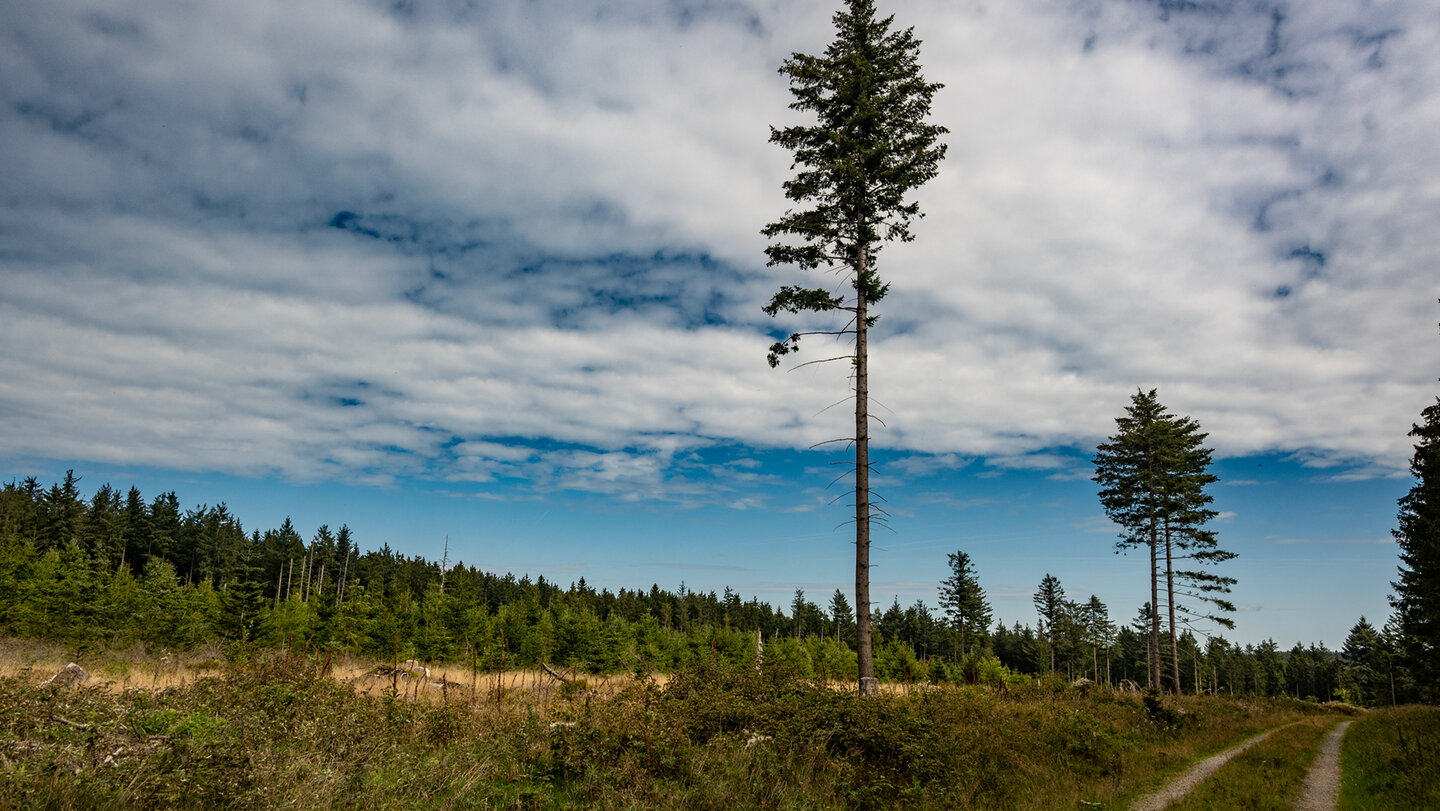 Hochebene am Langmartskopf
