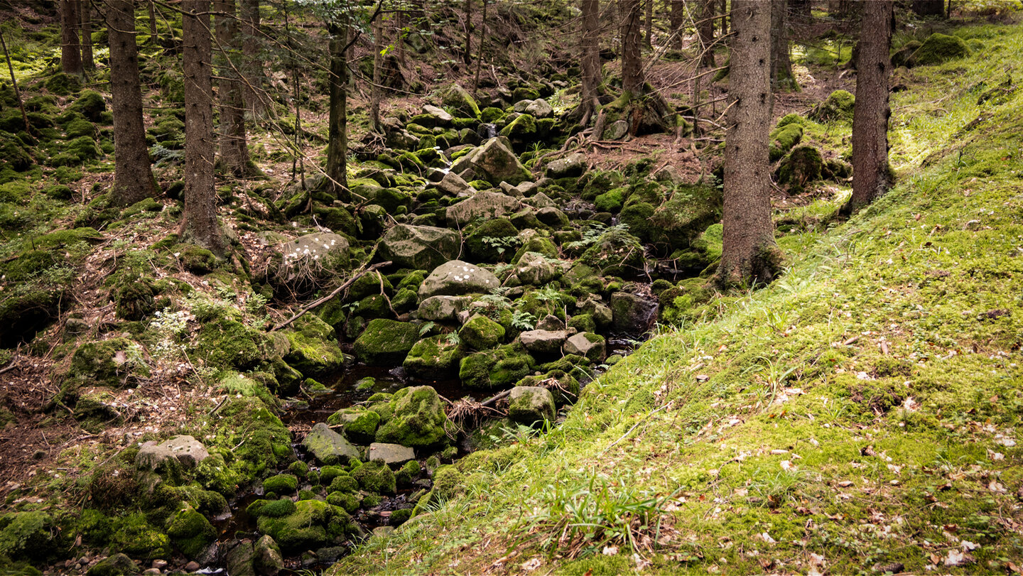 Felsen am Rotwasserbach