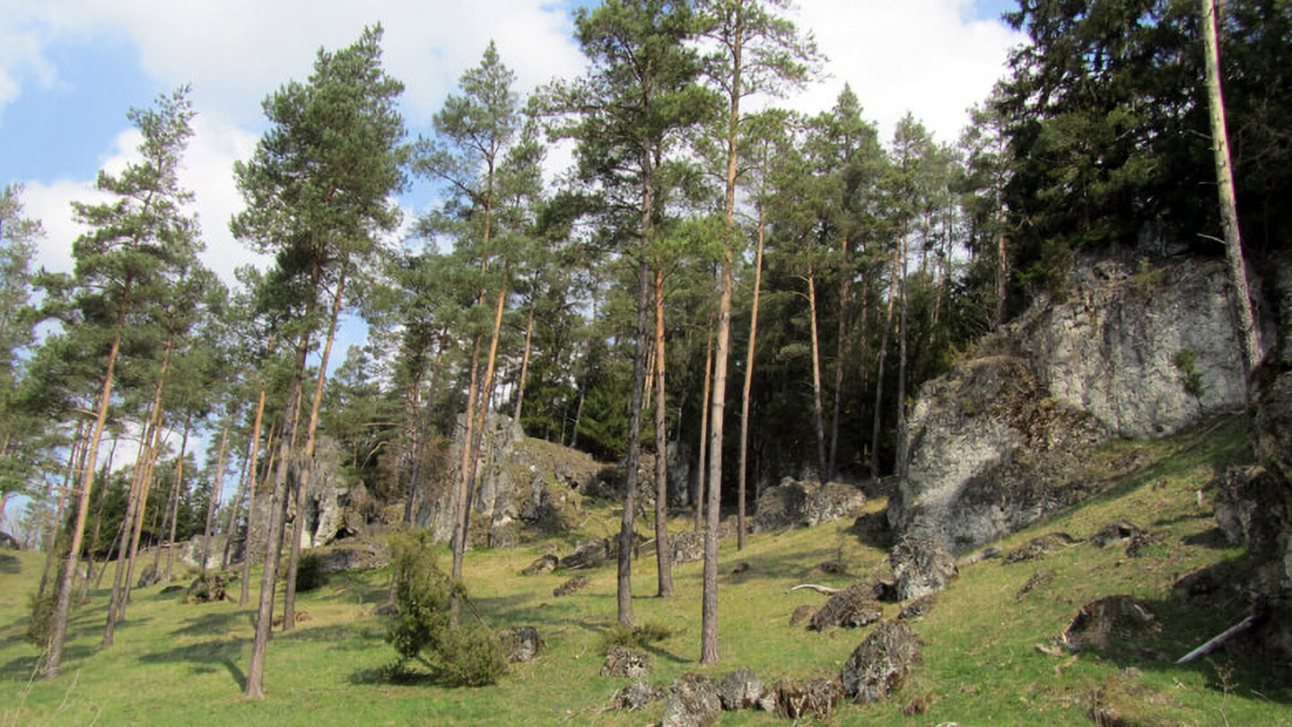 Felsen in der Nähe des Langersteins Felsen nahe des Langersteins