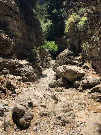 Kulisse aus Stein und Grün in der Imbros-Schlucht
