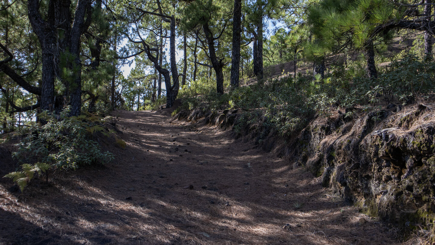 Wanderweg entlang einer Piste zum Pico Nambroque