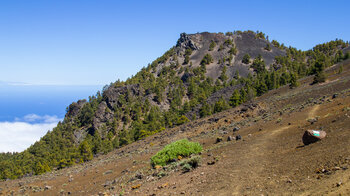 der Wanderpfad quert einen Berghang mit braun-schwarzem Lavagrus unterhalb des Pico Nambroque