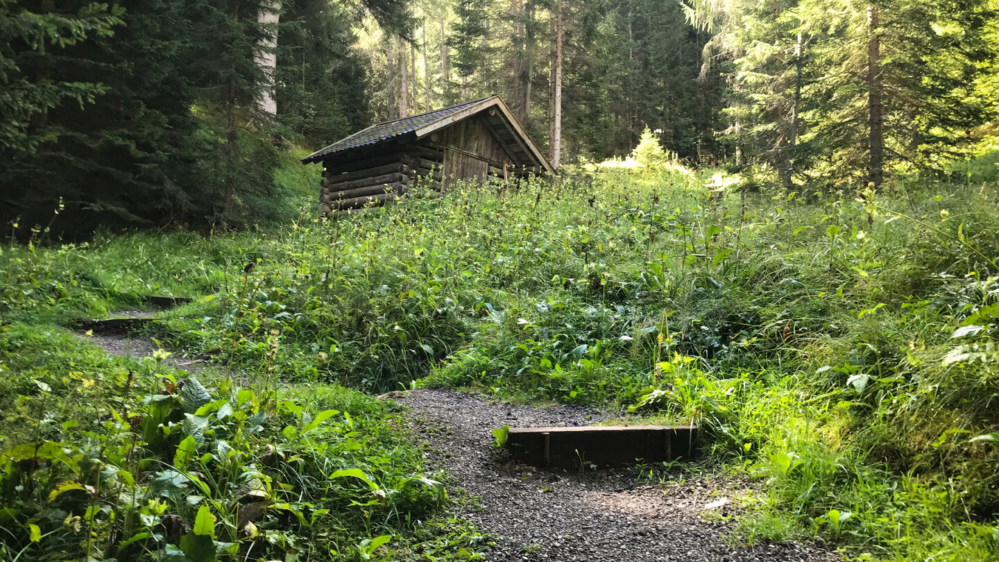 Wanderweg im Wald