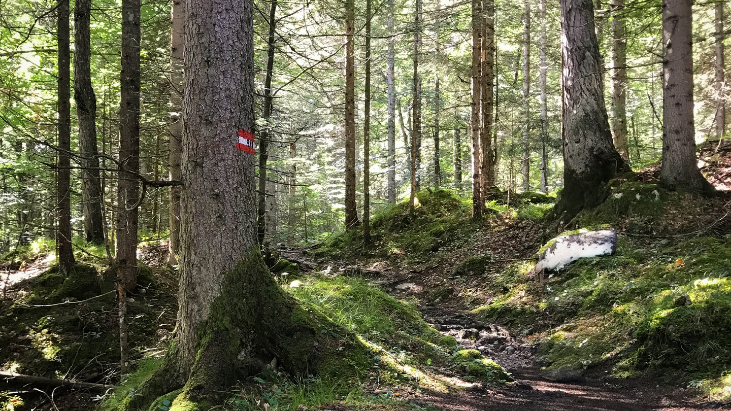 Wanderpfad zum Seebensee und zur Coburger Hütte