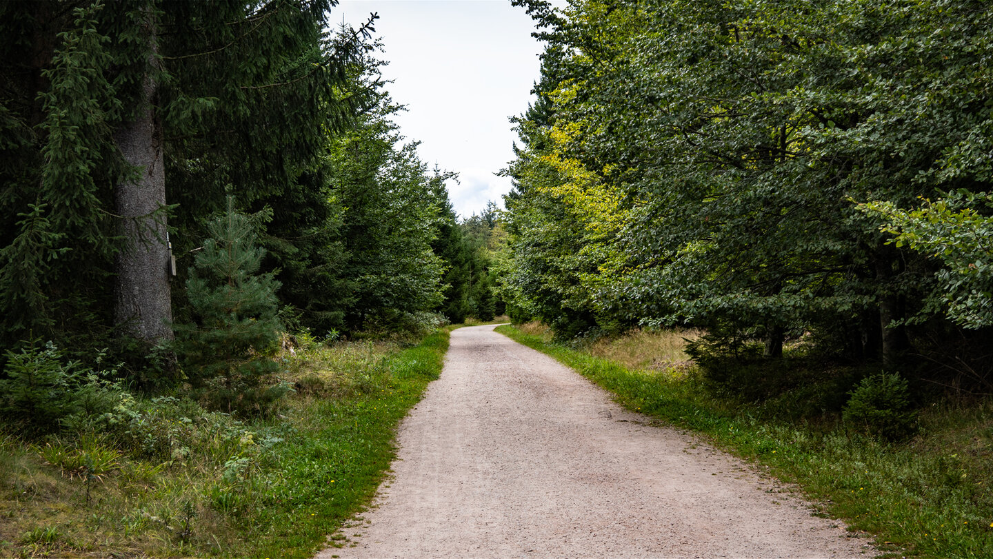 Route über den Mannslohweg zum Hochmoor
