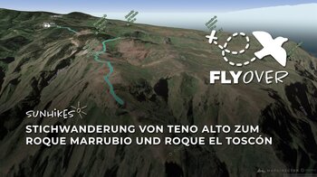 Zu den wilden Felskanzeln des Teno-Gebirges: Teneriffa Bergstrecke ab Teno Alto im Flyover