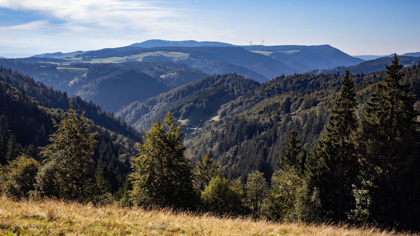 Schwarzwaldpanorama entlang des Westwegs