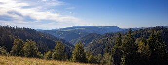 Ausblick über Hochebenen und Schluchten im Schwarzwald