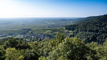 Panorama der Burg Neukastell über Leinsweiler und Eschbach mit der Madenburg