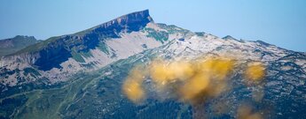 Bergflanke des Hohen Ifen