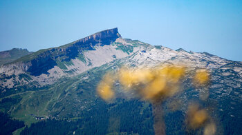 Bergflanke des Hohen Ifen